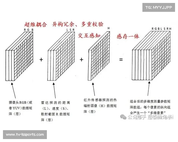当前周期内多维感知技术开启研发 预示体育媒体生态将定义全感官观赛新未来